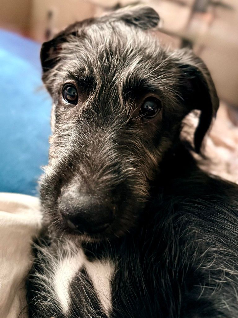 Azshara stormwind Des Terres De Norfendre